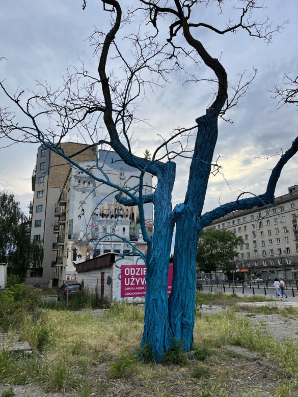 Artysta miał zgodę miasta
