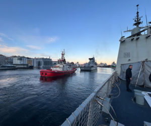 Manewry pk. Arctic Dolphin 26