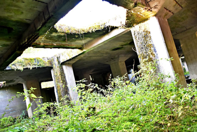 Tajemnicza podziemna hala w woj. warmińsko-mazurskim. Nikt nie wie, co tam się znajdowało