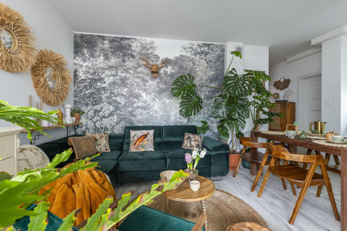 Monstera dziurawa