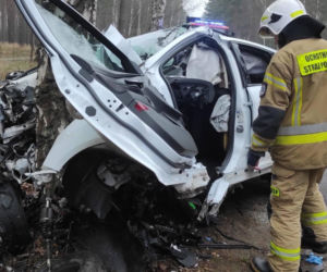 Groźny wypadek pod Bydgoszczą! Kierowca zakleszczony w aucie po uderzeniu w drzewo