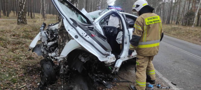 Groźny wypadek pod Bydgoszczą! Kierowca zakleszczony w aucie po uderzeniu w drzewo