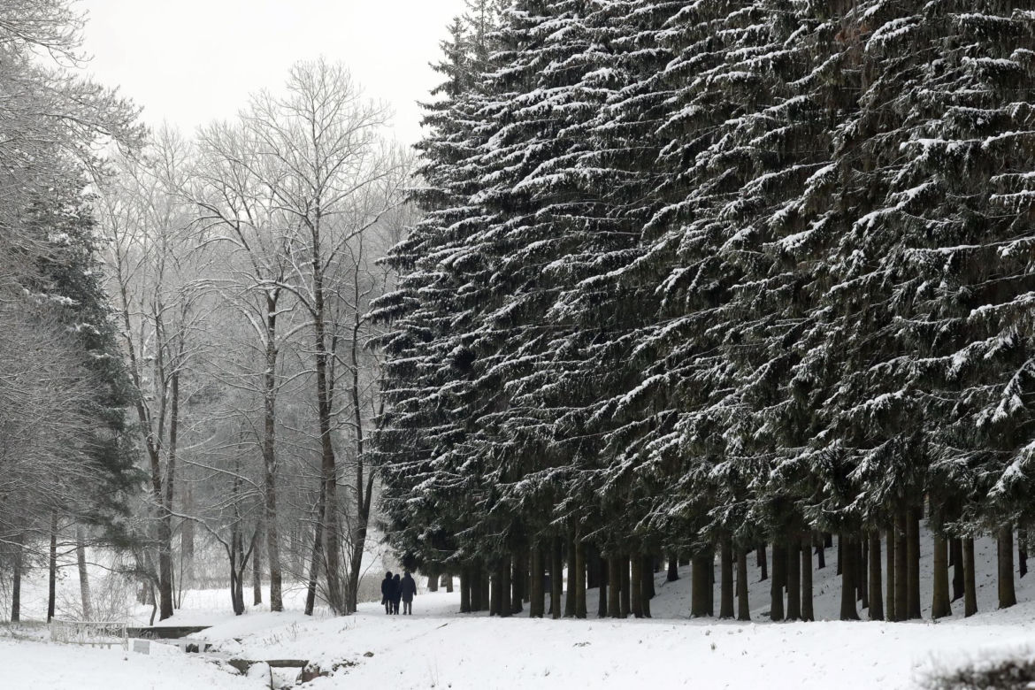 Potężne śnieżyce wywołały paraliż. Niebezpieczna pogoda