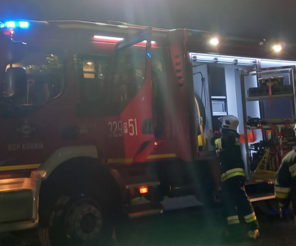 ŚMIERĆ dwóch 18-latków! Nocny dramat na drodze pod Poznaniem