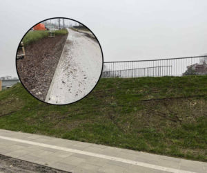 Zniszczyli alejki, rozjechali trawniki. Oburzające sceny w nowym parku w Warszawie