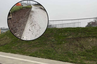 Zniszczyli alejki, rozjechali trawniki. Oburzające sceny w nowym parku w Warszawie