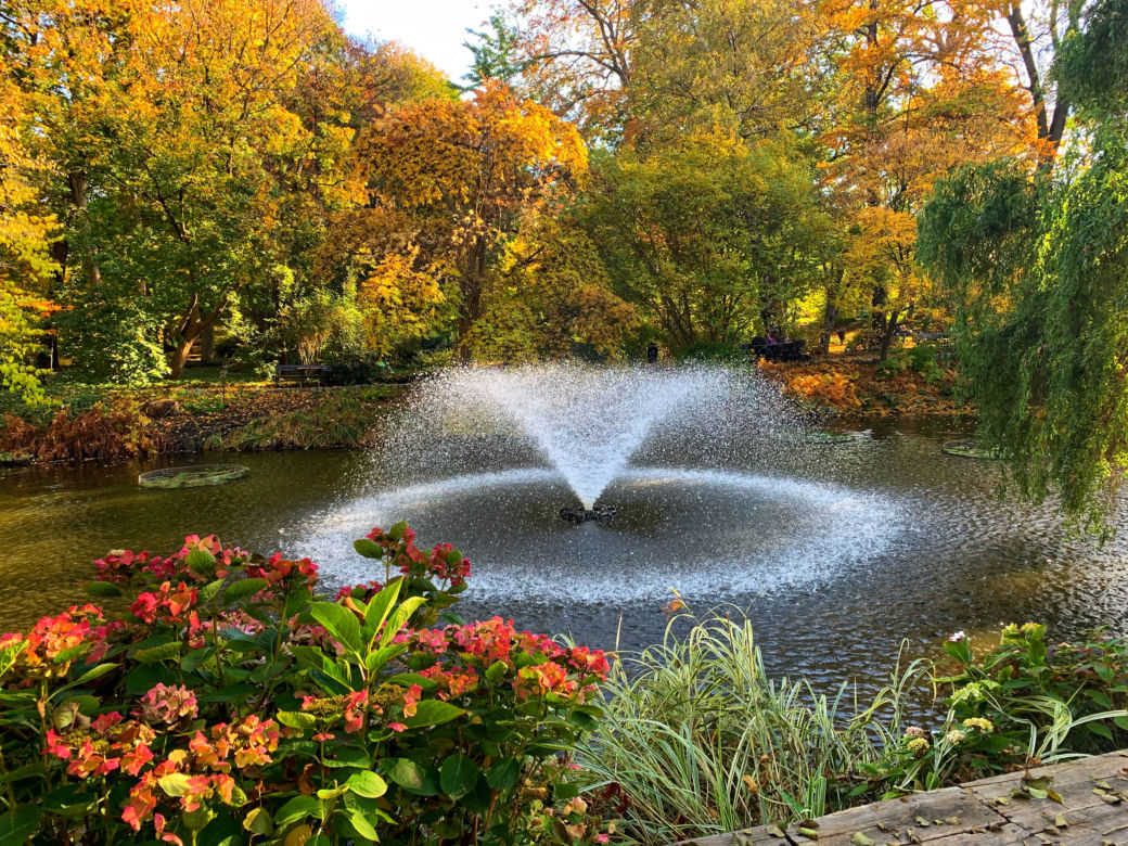 Jesień w ogrodzie botanicznym we Wrocławiu