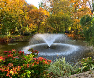 Jesień w ogrodzie botanicznym we Wrocławiu