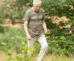 Stefan domator rąbie drzewa