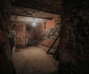 Dziekanka znów zachwyca 