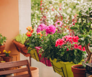 Balkon i taras w stylu romantycznym