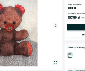 W PRL-u każde dziecko marzyło, aby znaleźć to pod choinką. Dziś za tę zabawkę można dostać krocie