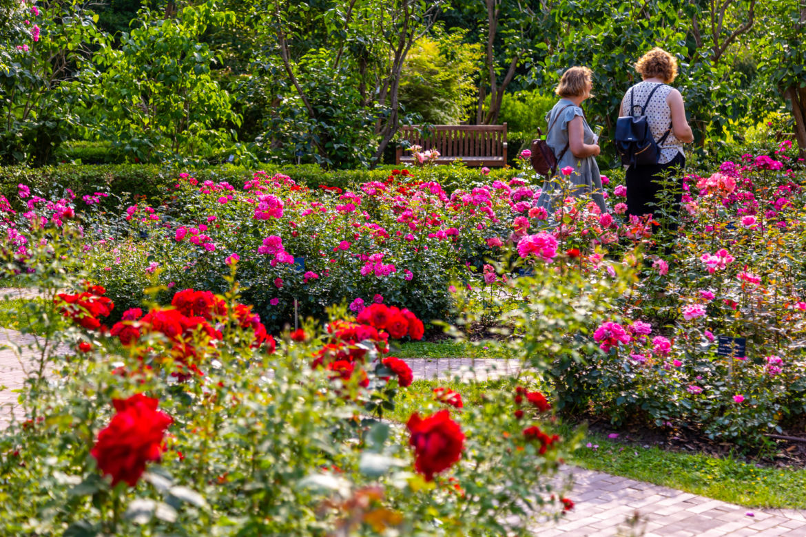 7 najładniejszych ogrodów botanicznych w Polsce. Kiedy je odwiedzić i gdzie są?