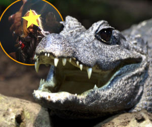 Egzotyczny krokodyl w piwnicy tuż przy granicy z Polską. Jego imię brzmi... gwiazdorsko! 