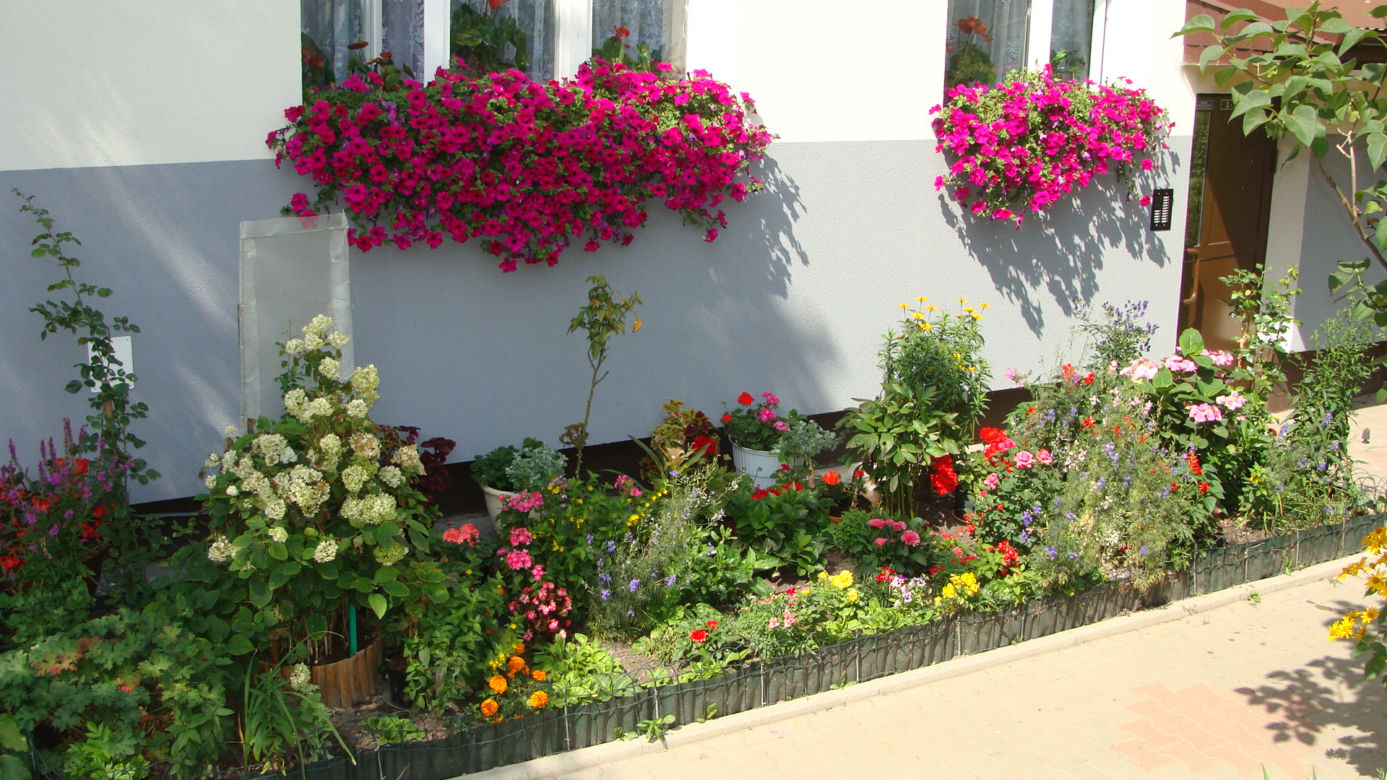 Najpiękniejsze balkony w Starachowicach