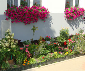 Najpiękniejsze balkony w Starachowicach