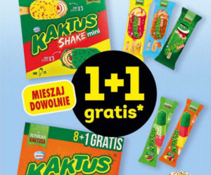 Promocje w Biedronce