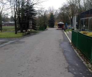 Pracownicy śląskiego ZOO chcą ratować pantery śnieżne