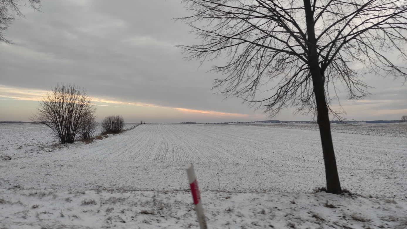 Kiedy będą ferie zimowe 2023 w woj. kujawsko-pomorskim?