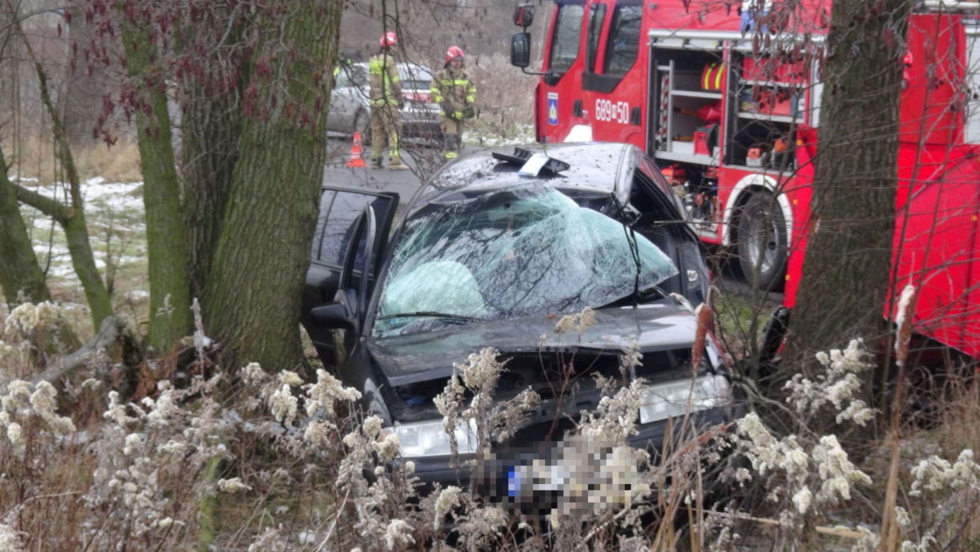 Tragedia pod Wołominem. Wypadła z drogi, rozbiła się na drzewie. 19-latka nie żyje