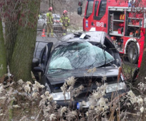 Tragedia pod Wołominem. Wypadła z drogi, rozbiła się na drzewie. 19-latka nie żyje