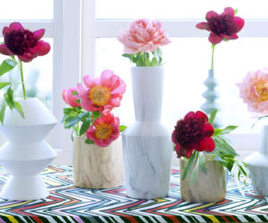 Peonie