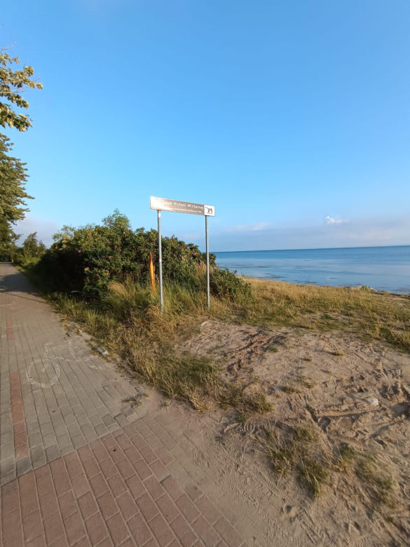 Przejechałam się jedną z najpiękniejszych tras rowerowych w Polsce. Widoki robią wrażenie!