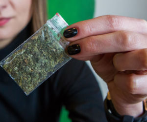 Narkotyki marihuana