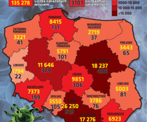 Koronawirus. OGROM zgonów! NIE ŻYJĄ pacjenci leczeni w Tarnowie, Dąbrowie, Limanowej i Nowym Sączu