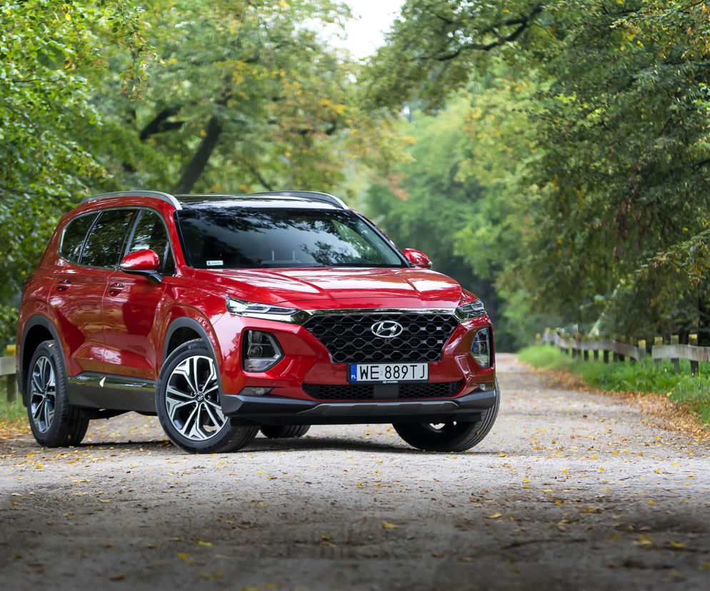 Hyundai Santa Fe 2.0 CRDi 185 KM 8AT 4WD Platinum