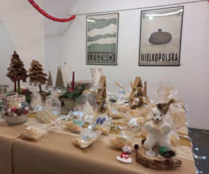 ​Z każdym dniem wybór jest coraz mniejszy. W Galerii MBWA w Lesznie trwa Kiermasz Świąteczny