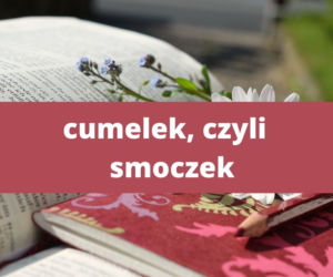 Te słowa tylko na Podkarpaciu! Znasz znaczenie tych słów? 