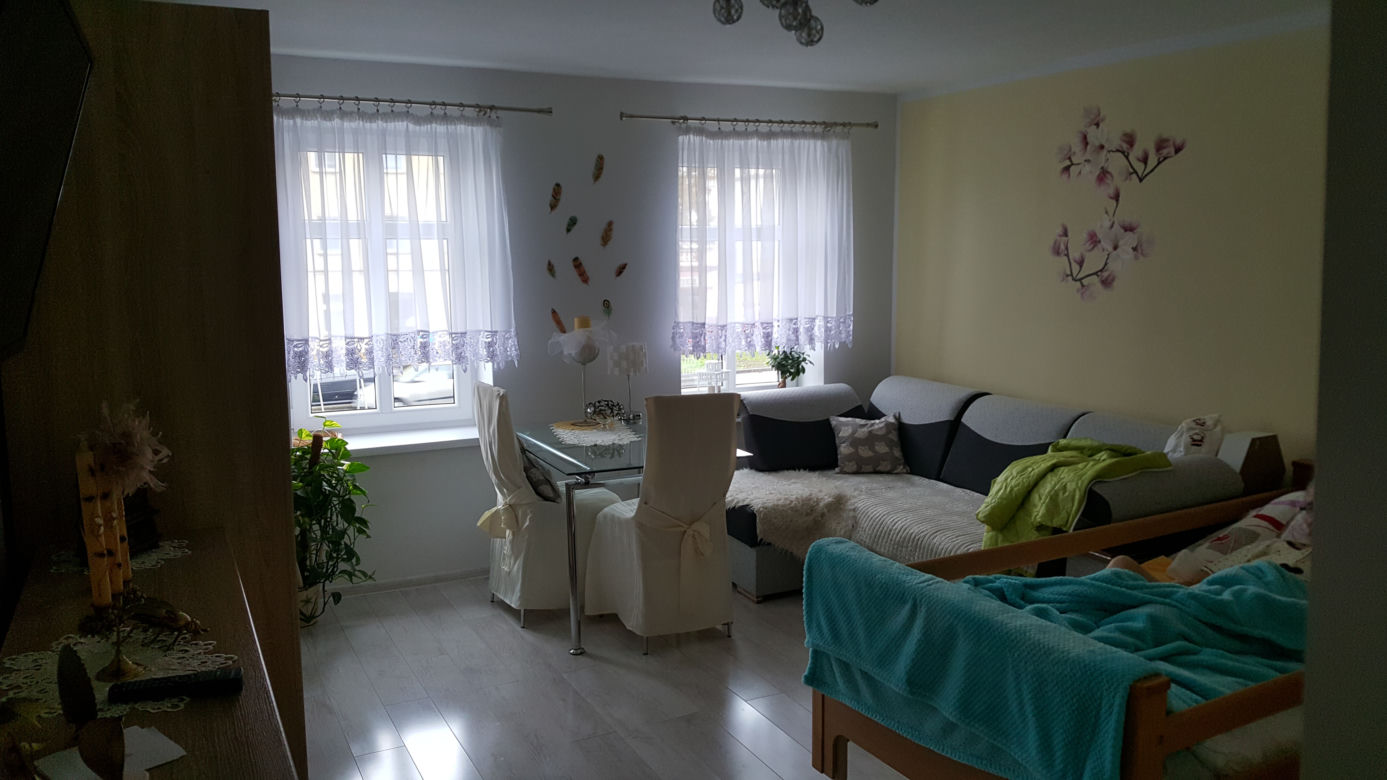 Bydgoscy uczniowie znowu w akcji! Rozpoczęli remont kolejnego mieszkania! 