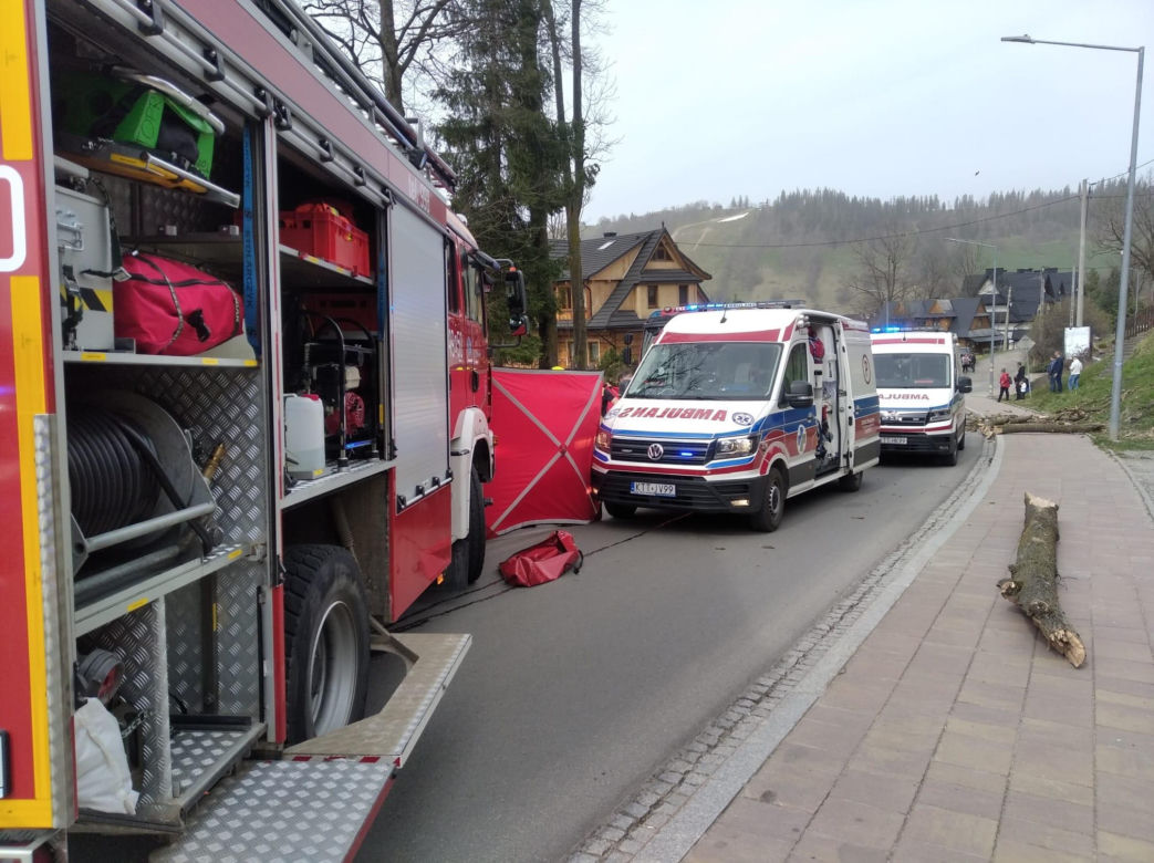 Tragedia w Zakopanem. Drzewo spadło na samochód. Młoda kobieta nie żyje