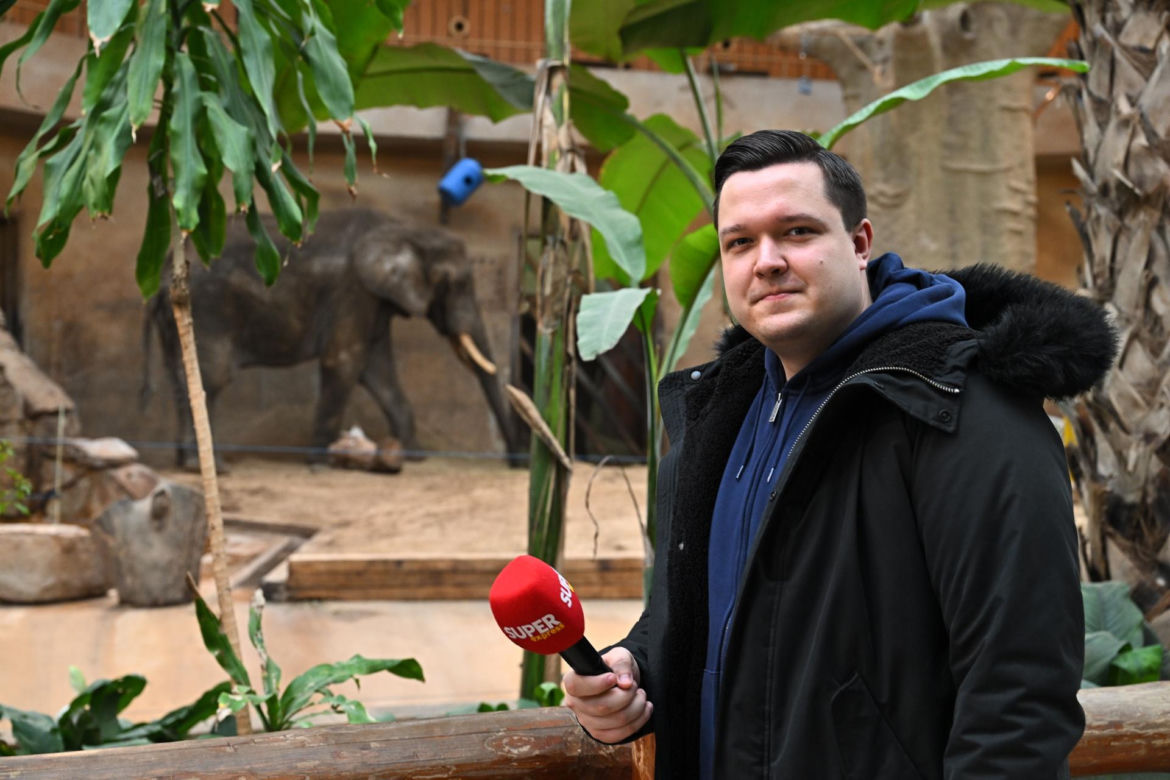 Słoń Leon ma urodziny. Wielka impreza w warszawskim ZOO