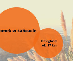 Majówka 2022: Gdzie na szybka wycieczkę z Rzeszowa? Ciekawe atrakcje 