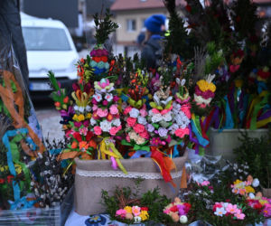 35 metrów i 80 centymetrów liczy palma, która zwyciężyła tegoroczny konkurs palm w Lipnicy Murowanej