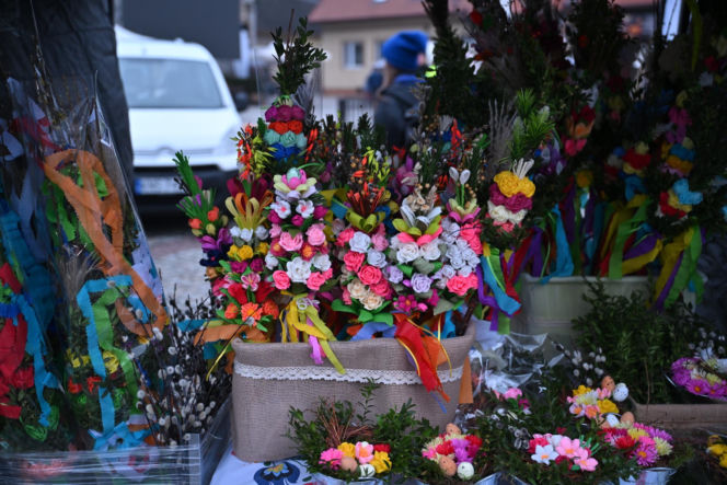 35 metrów i 80 centymetrów liczy palma, która zwyciężyła tegoroczny konkurs palm w Lipnicy Murowanej