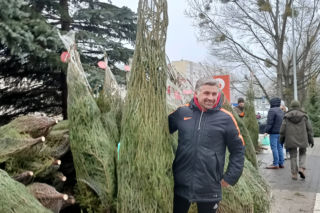 Oddając krew otrzymasz choinkę. Akcja Lasów Państwowych i Centrum Krwiodawstwa [WIDEO]