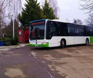 Romantyczny przystanek autobusowy w Moczyłach
