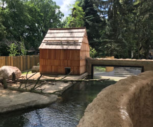Wydry zoo Wrocław