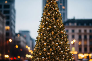 Choinka w Siedlcach. Jak zmieniła się po krytyce mieszkańców?