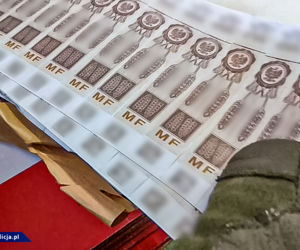 Wielka akcja CBŚP w Łodzi! Funkcjonariusze weszli do nielegalnej rozlewni alkoholu. Oto, co tam zastali!