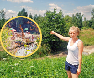 Golasy nas straszą