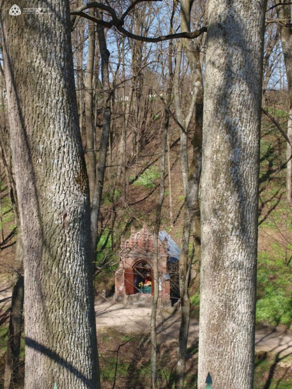 Malutką wieś nazywają "Warmińską Jerozolimą". Przyciąga prawdziwe tłumy