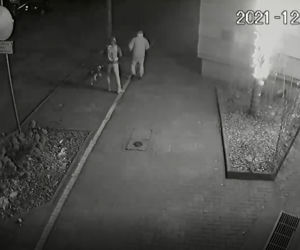 Palma przy siedzibie strostwa została zniszczona