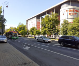 Z ul. Lipowej zniknęły pierwsze drzewa.