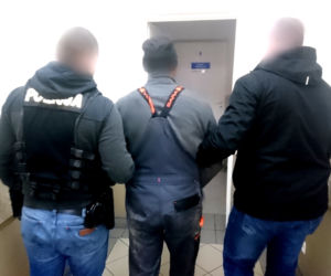Wierzchlesie: Leśna bimbrownia zlikwidowana