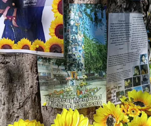 Drzewo pamięci Michaela Jacksona w Budapeszcie