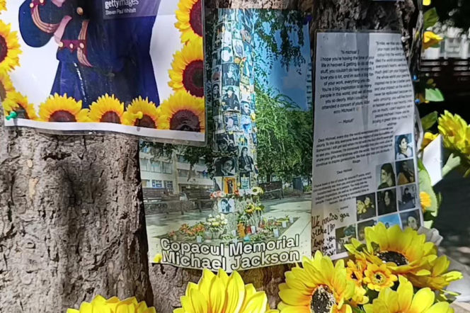 Drzewo pamięci Michaela Jacksona w Budapeszcie